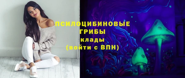 apvp Абаза