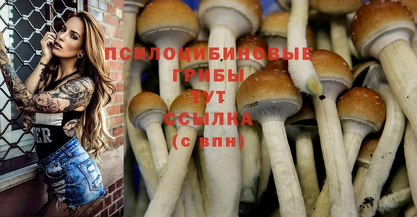 apvp Абаза