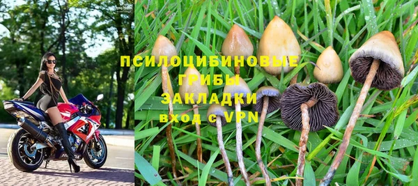 a pvp Абдулино